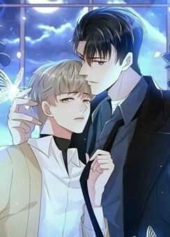 Top 328+ ảnh anime đam mỹ khẽ chạm đến con tim - Bài viết nổi bật tại Ảnh Anime