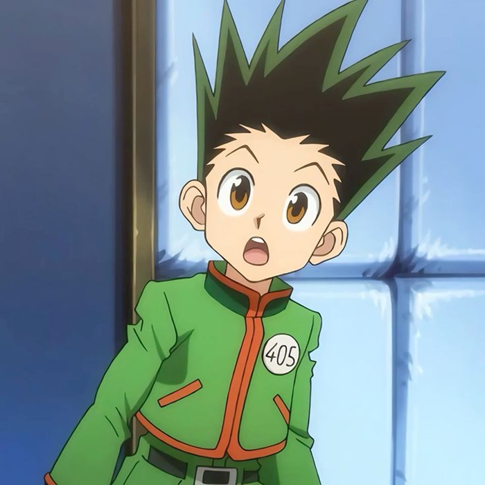 Gon Freecss cute