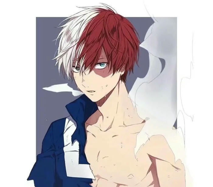 anh Shoto Todoroki dep