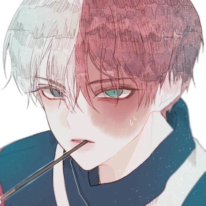 anh Shoto Todoroki
