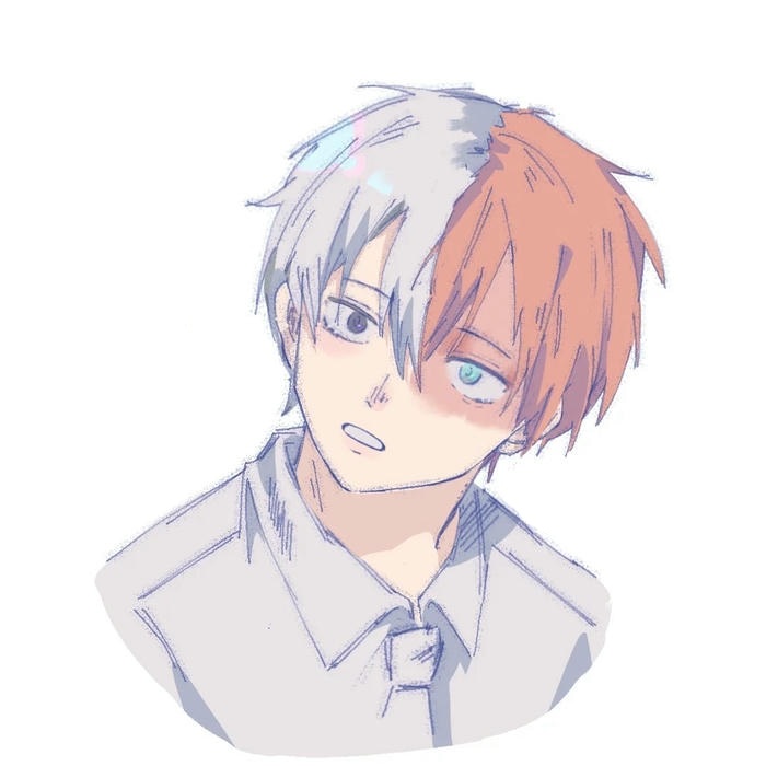 ảnh anime shoto todoroki