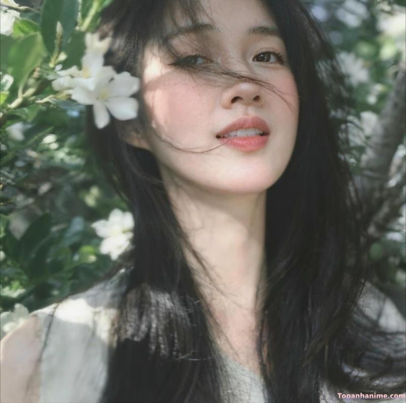 ảnh gái xinh 2k4 vn