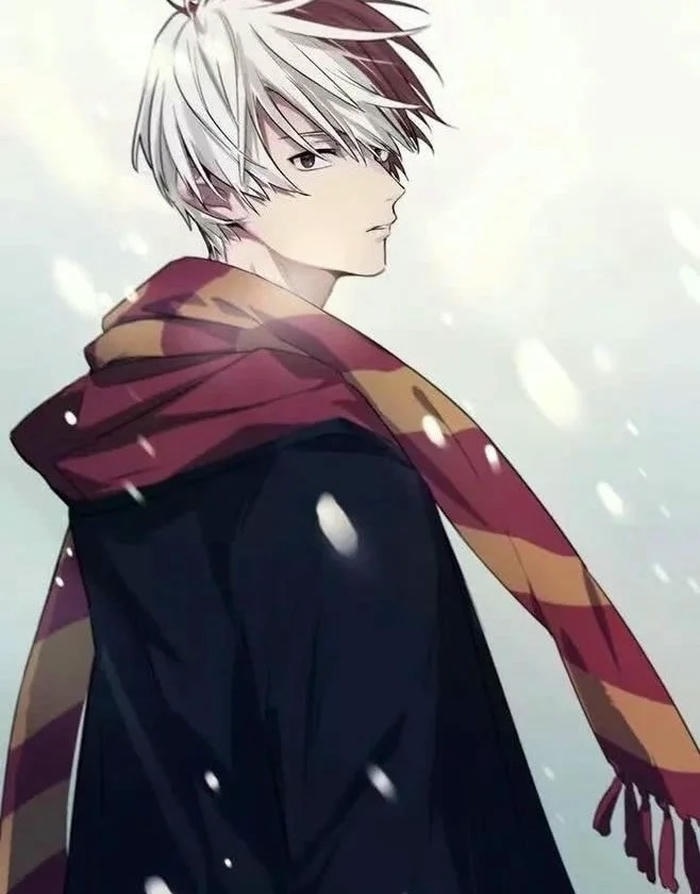 ảnh todoroki shouto