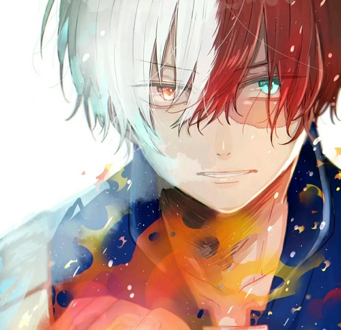 anh todoroki shouto dep