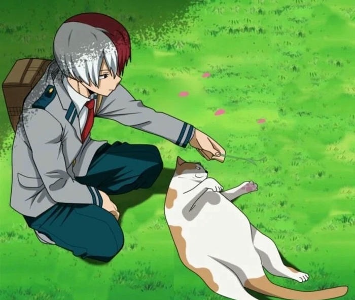 ảnh todoroki shouto dep