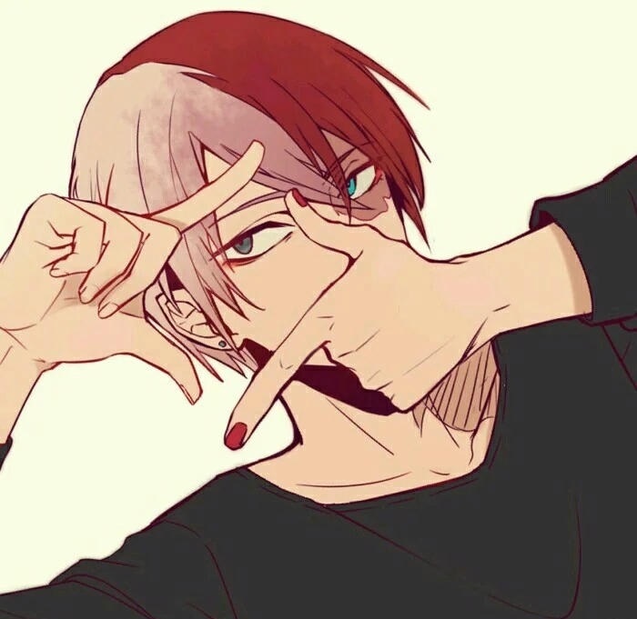anh todoroki shouto