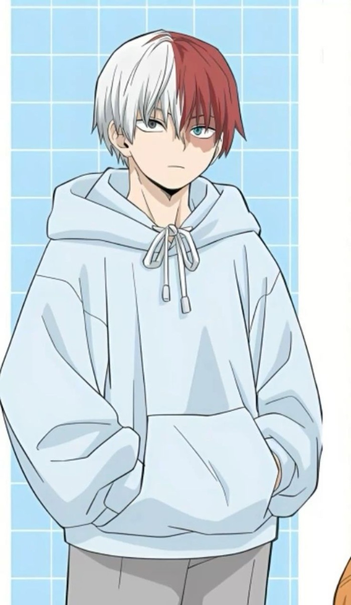 anh todoroki