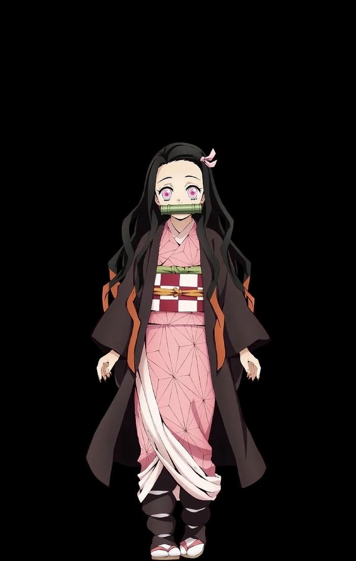 hinh Kamado Nezuko