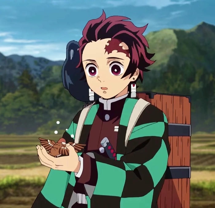 hinh Tanjiro Kamado