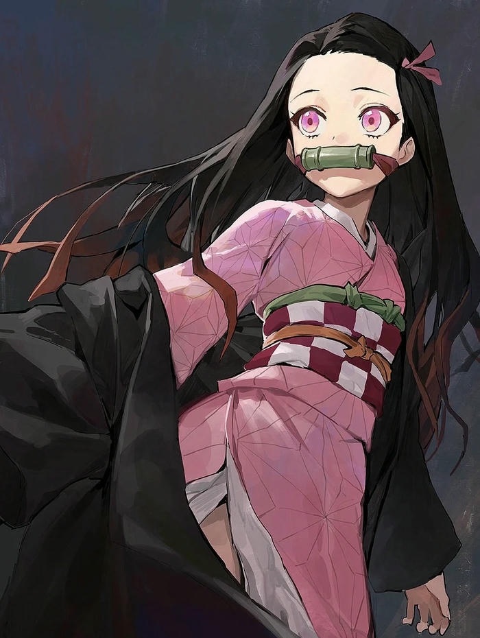 hinh anh Kamado Nezuko