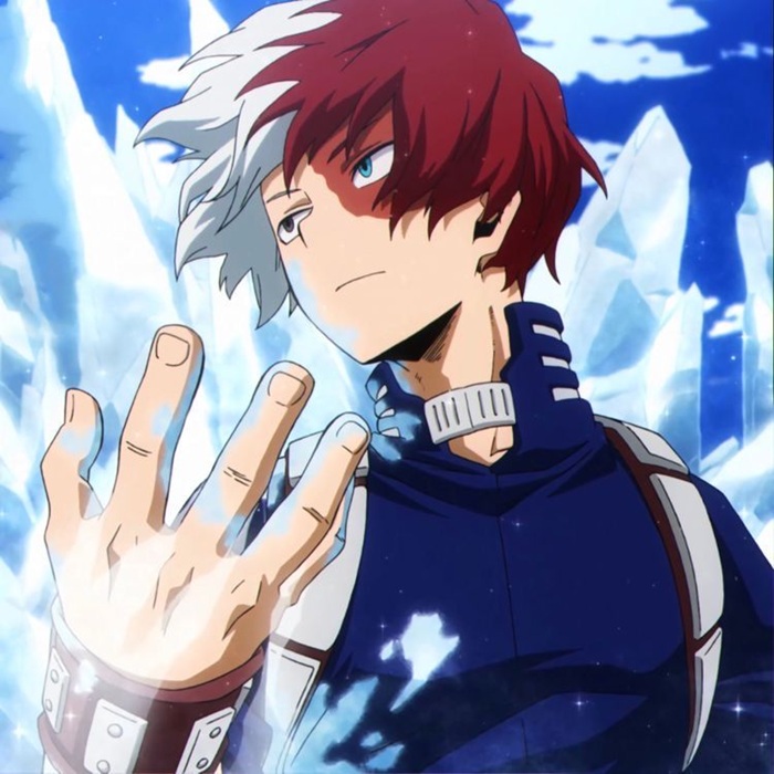 hinh ảnh Shoto Todoroki