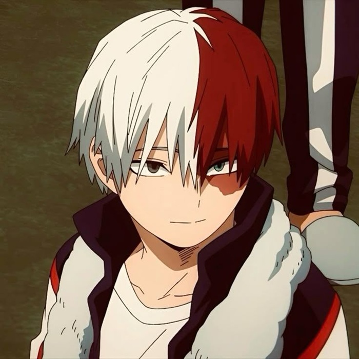 hình anh Shoto Todoroki
