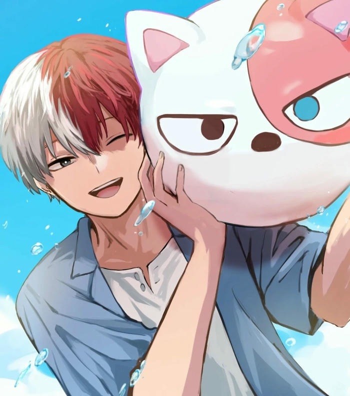 hình ảnh todoroki