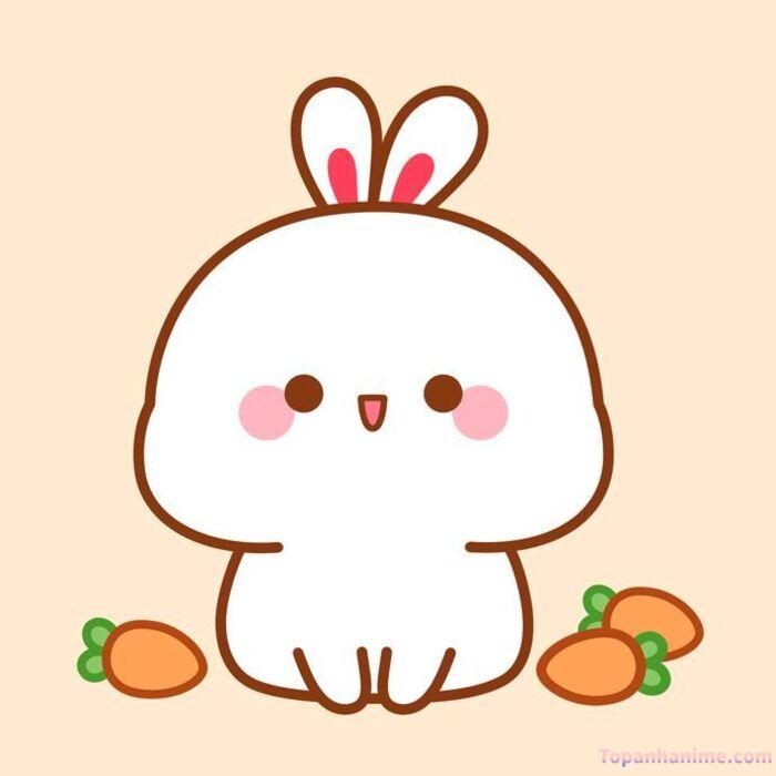 ảnh thỏ chibi chất hd full