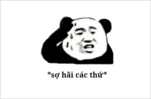 ảnh meme run rẩy sợ quá