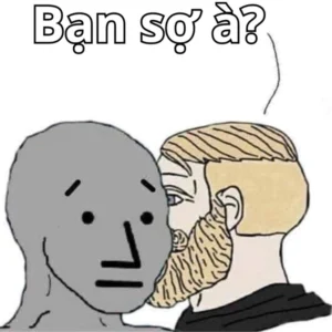 bạn sợ à meme