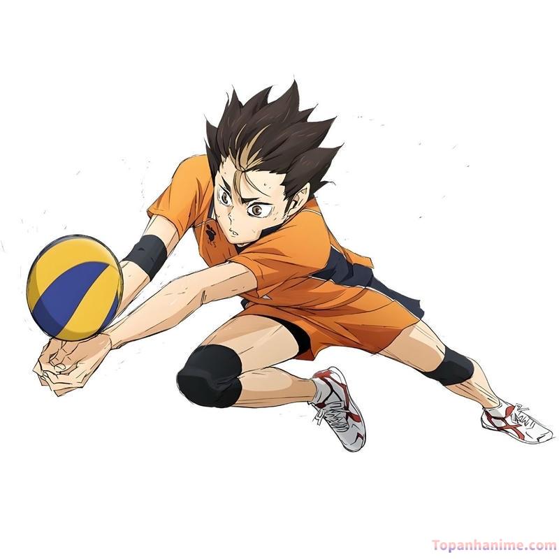 bóng chuyền anime