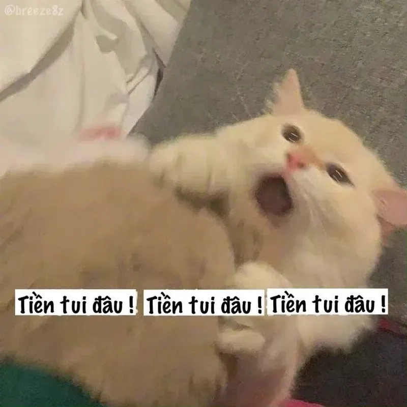 hết tiền meme thất thần