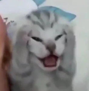 hình meme sợ hãi