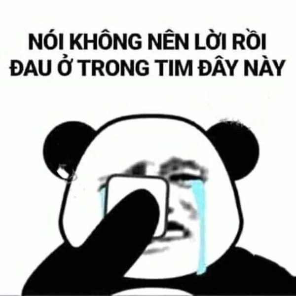 meme đau tim gấu trúc trung quốc