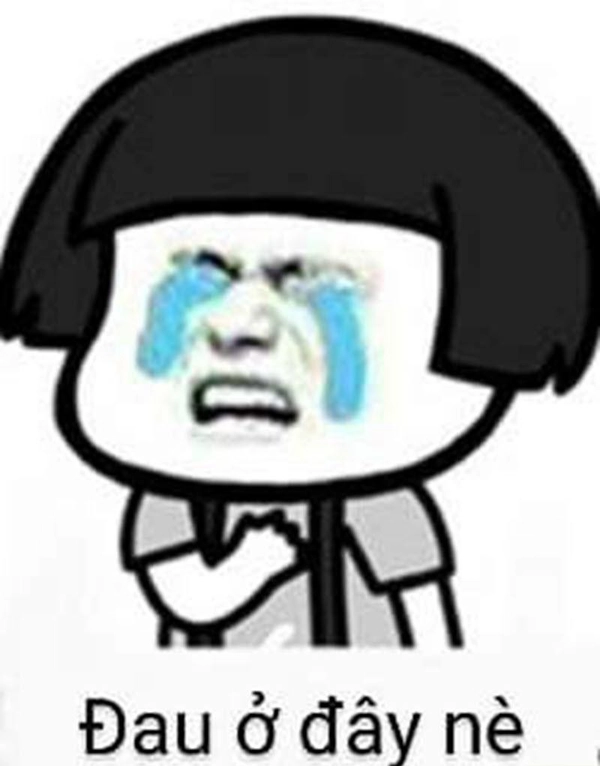 meme đau tim khóc nhè