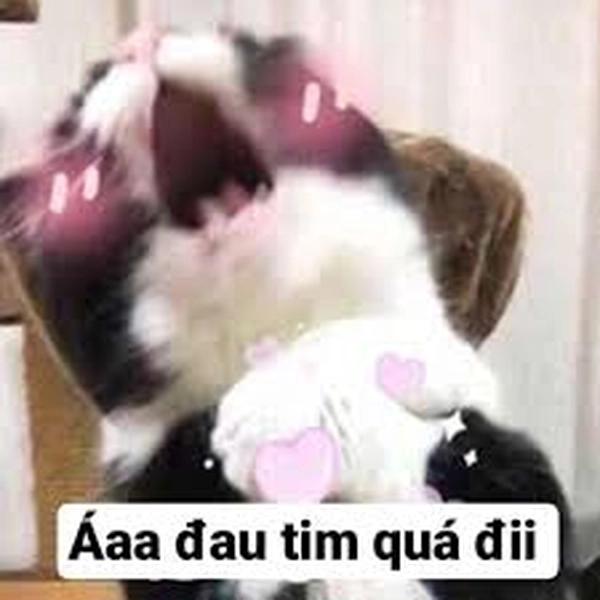 meme đau tim quá đi mất thôi