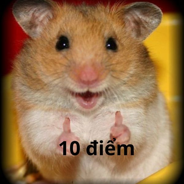 10 điểm