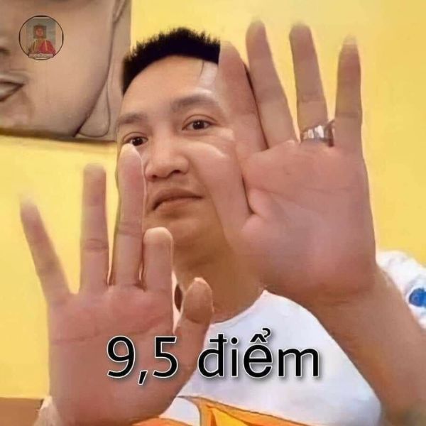 9,5 không có 10