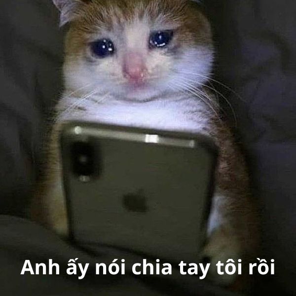 anh ấy nói chia tay tôi rồi