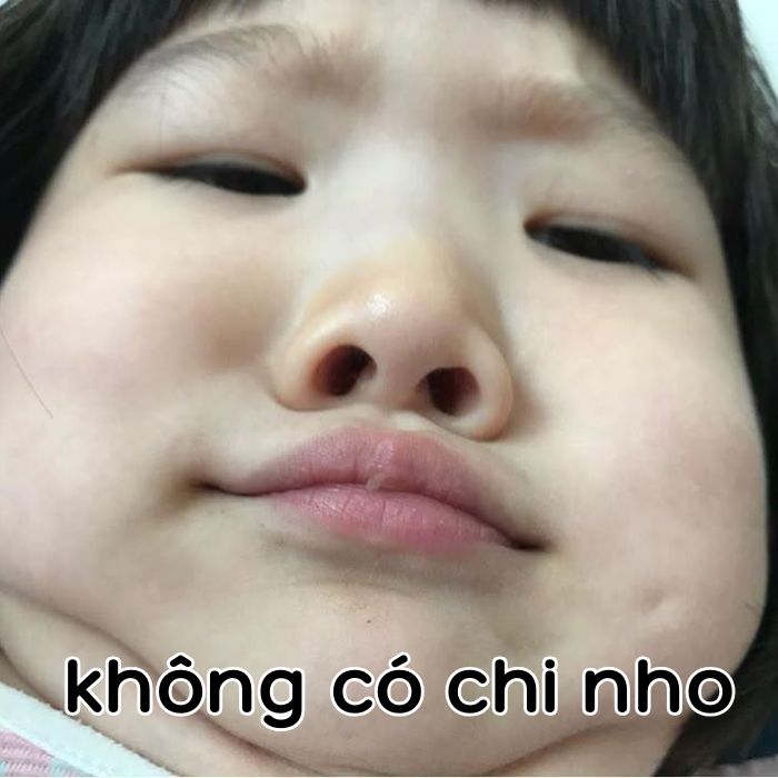 ảnh không có chi meme bé hài