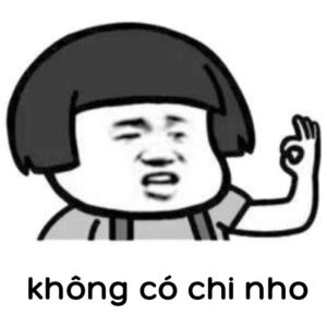 ảnh không có chi meme bựa tq