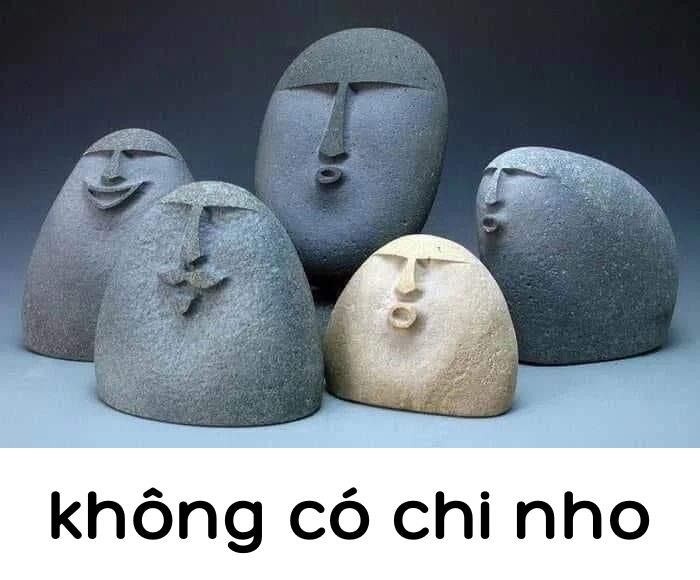ảnh không có chi meme đá