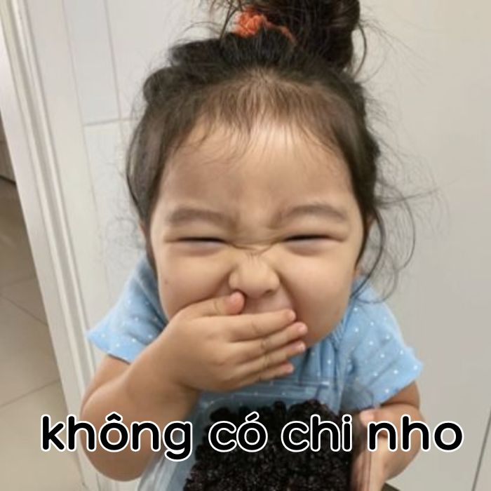 ảnh không có chi meme hài
