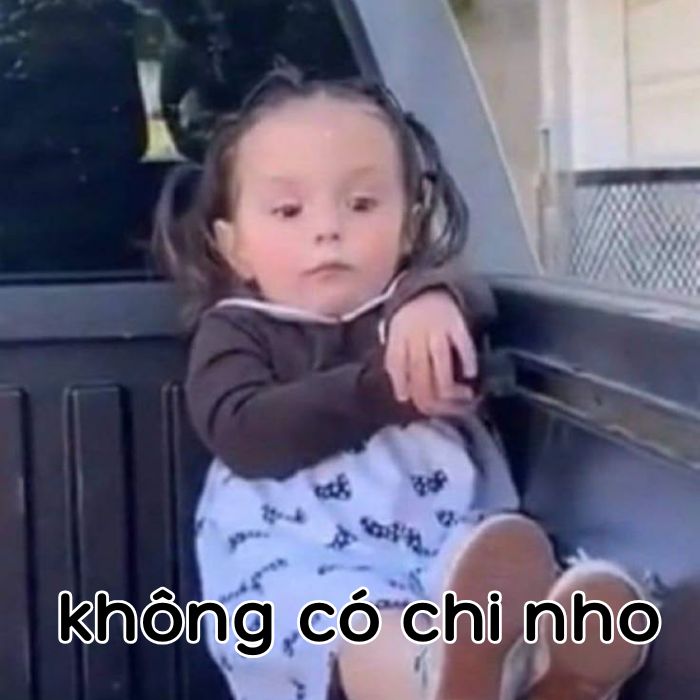 ảnh không có chi meme siêu hài