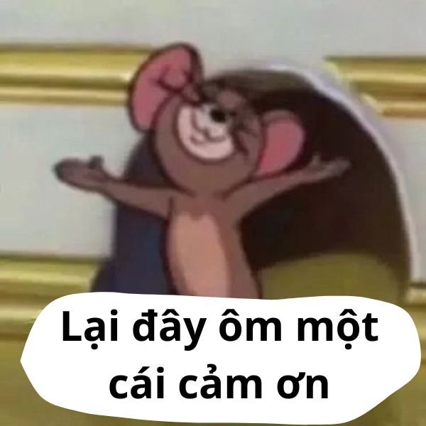 ảnh meme cảm ơn