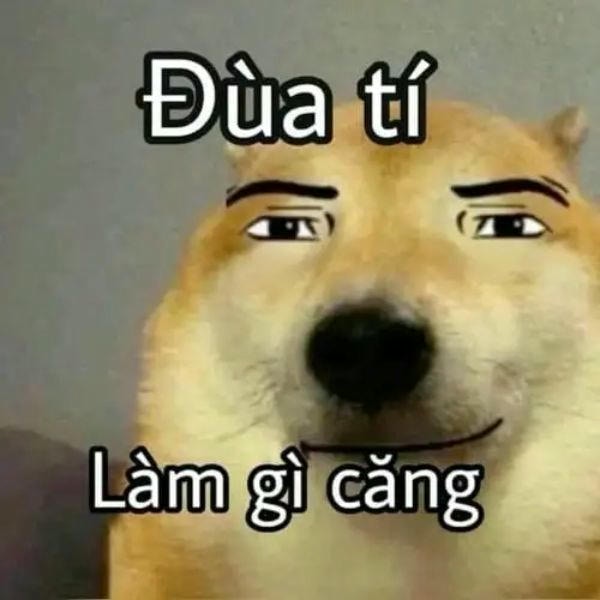 ảnh meme hài siêu hài