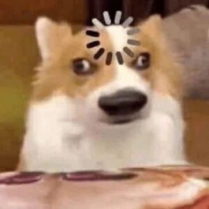 ành meme không hiểu chó hài