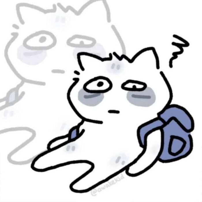 ảnh meme mất ngủ siêu hài