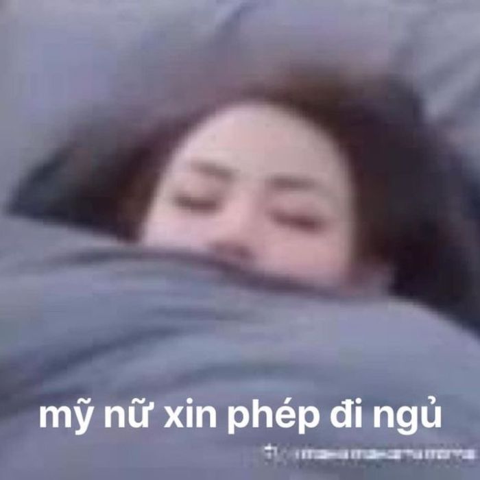 ảnh meme ngủ ngon chế