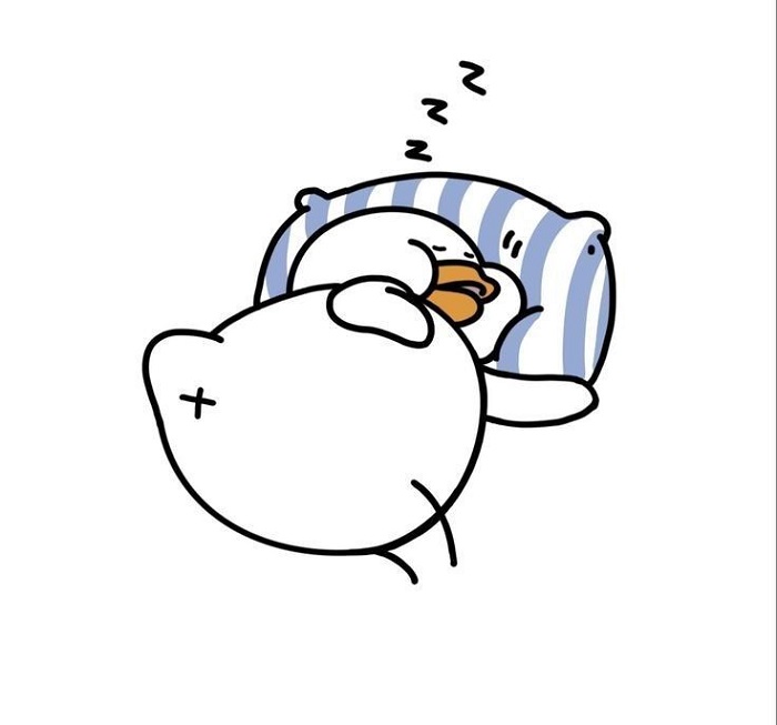 ảnh meme ngủ ngon hài vịt