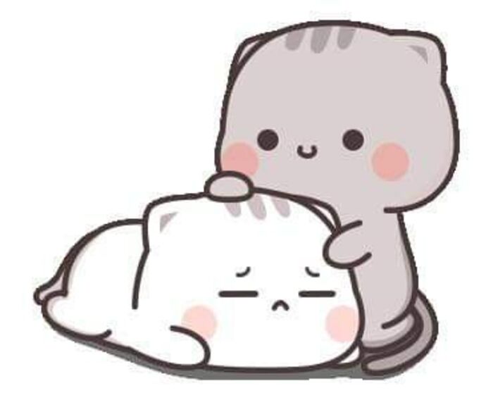 ảnh meme xoa đầu cute nhất