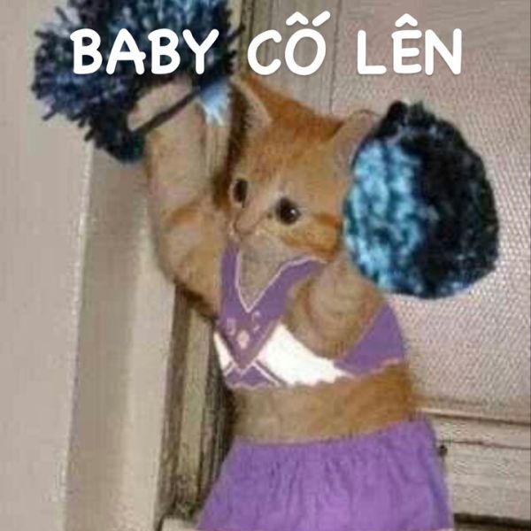 baby cố lên