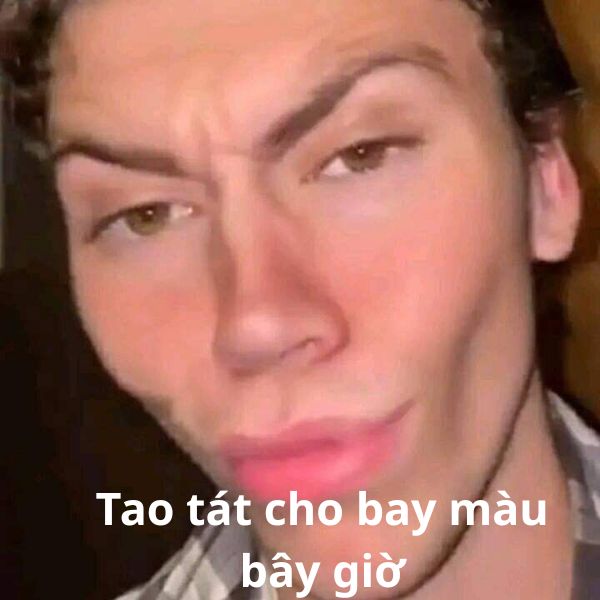 bay màu meme troll
