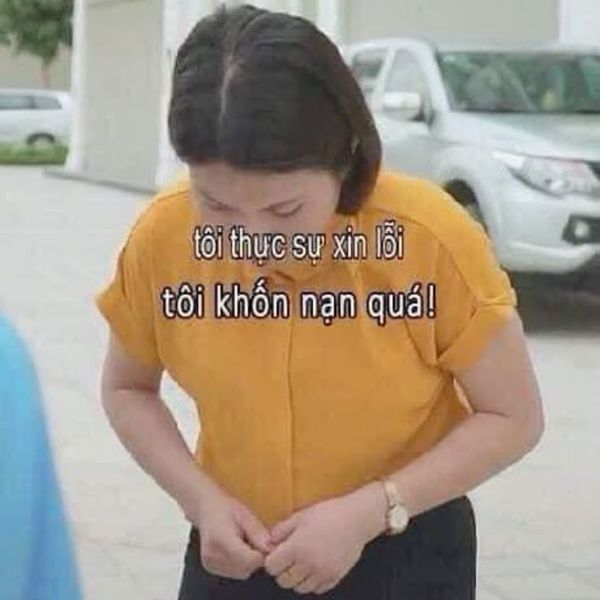 cắm đầu xin lỗi