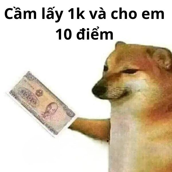 cầm lấy 1k và cho em 10 điểm