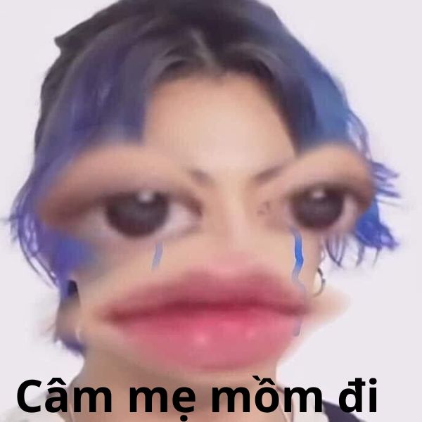 câm mẹ mồm vào