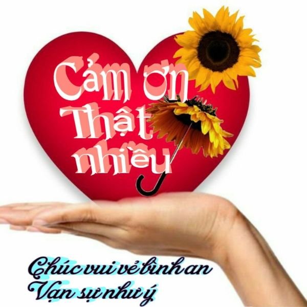 cảm ơn thật nhiều