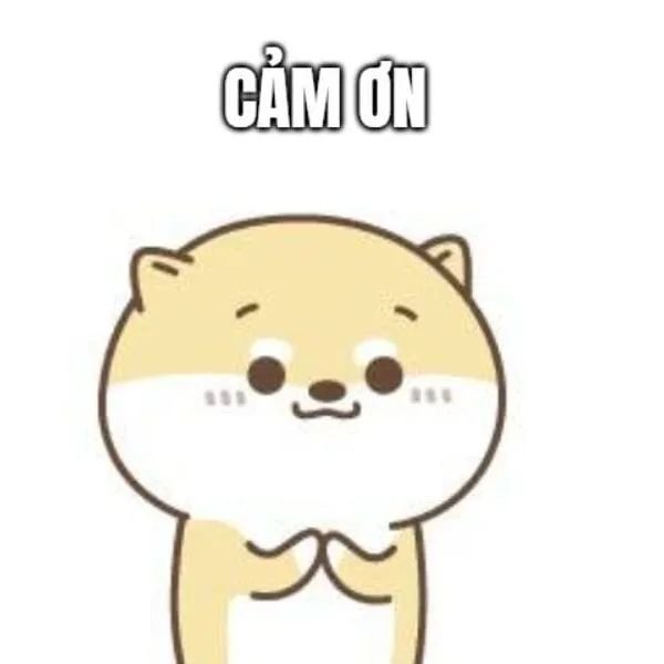 cảm on ư