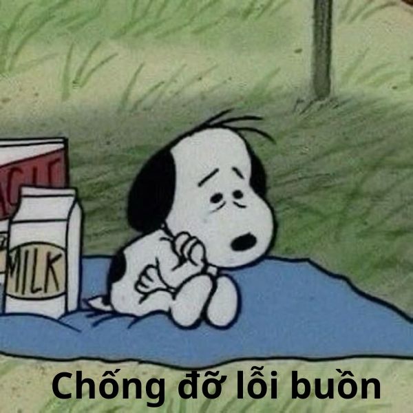 chống đỡ lỗi buồn