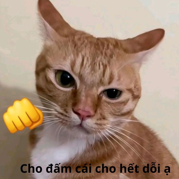đấm cái cho hết dỗi